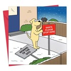 Funny Christmas Card - Dog Christmas Card From The Dog - Christmas Card Funny