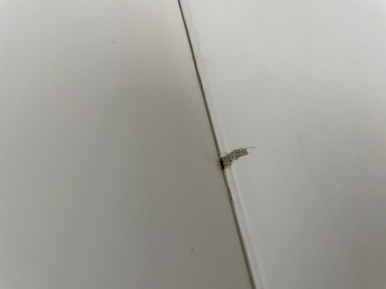 Picture 19 of 19