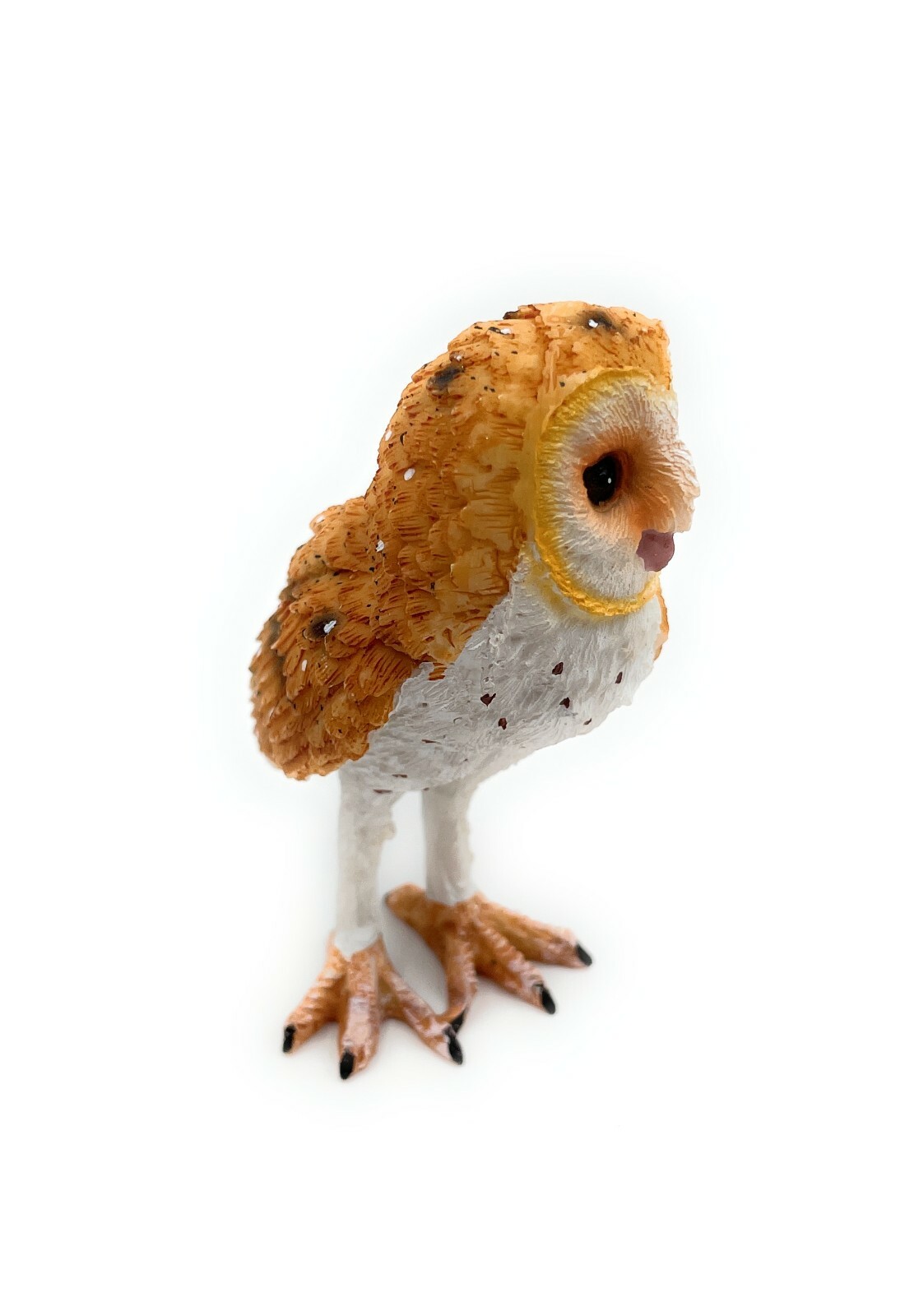Picture 4 of 7