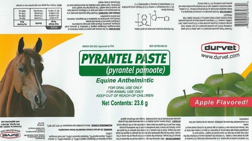 Durvet Pyrantel Pamoate Paste Equine Anthelmintic: for Horses / Wormer, 23.6gm - Picture 2 of 2