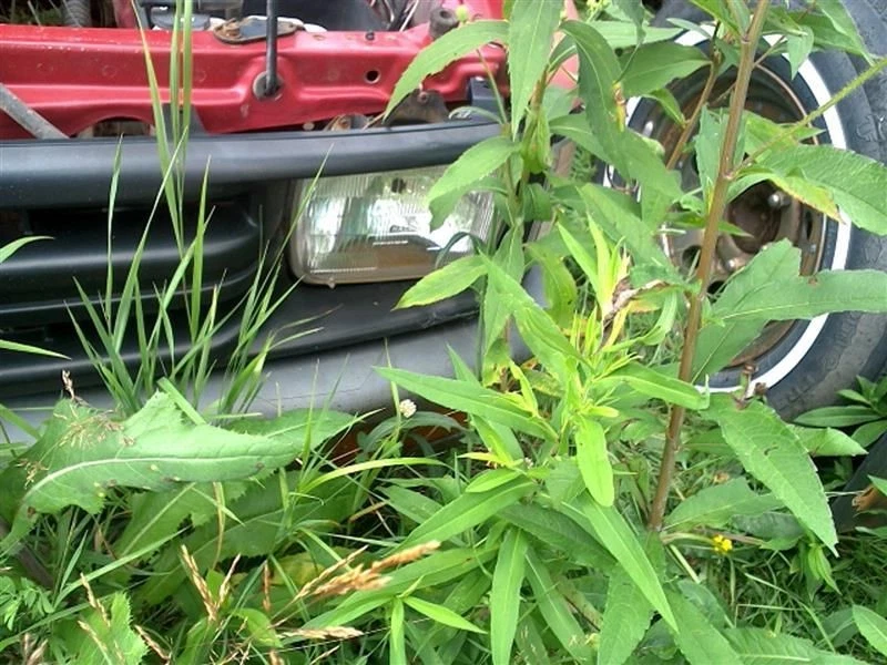 Driver Front Door Glass Without Vent Fits 89-95 TOYOTA PICKUP 193160 - Image 2 of 4