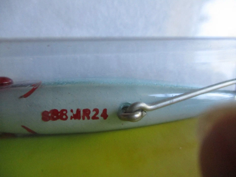 Lote de 3 espejos L&S, aparejos de clase, (2) S38MRSHP y (1) S38 MR 24.  1/2 oz. Foto 3 de 4