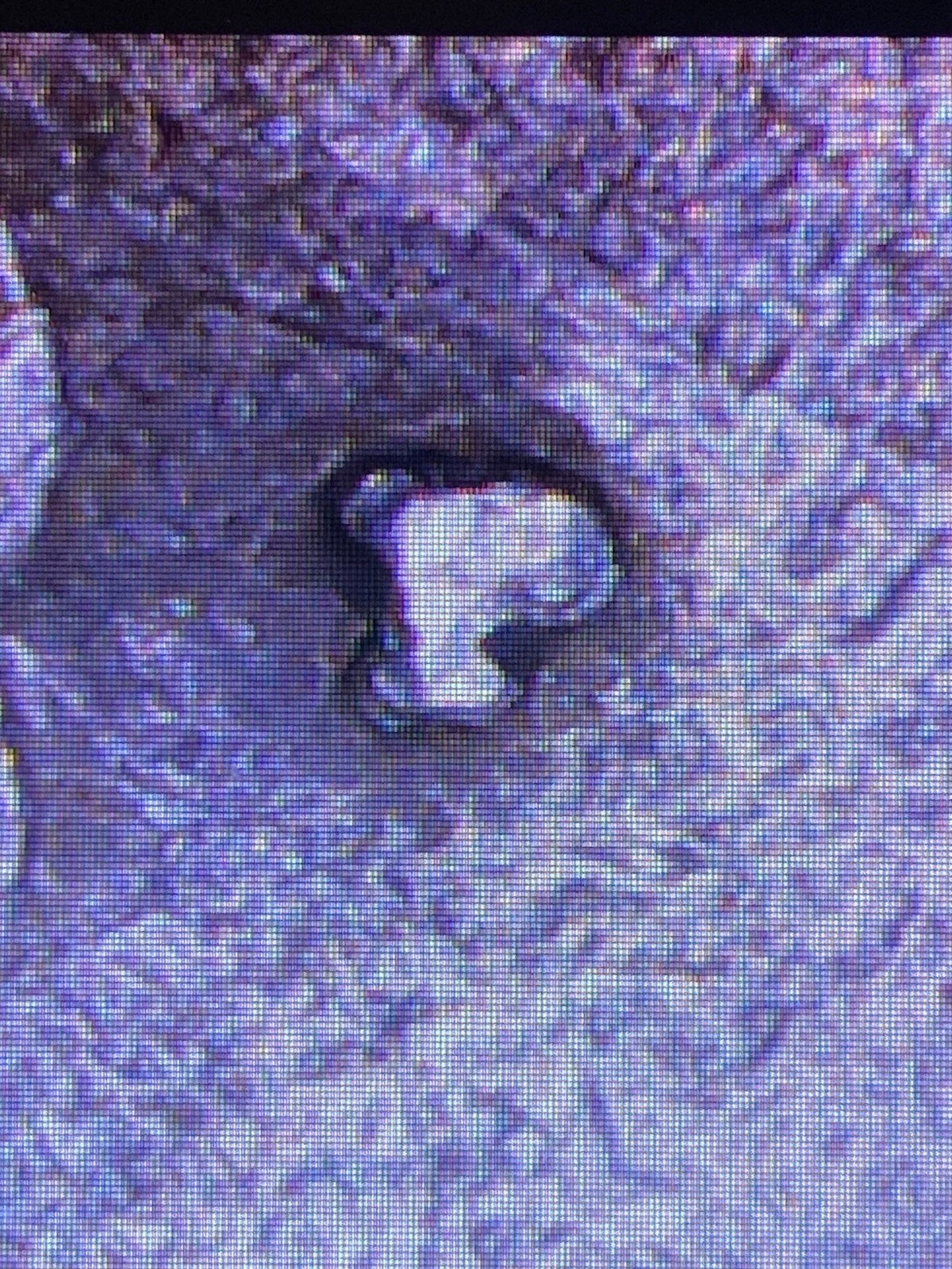 Picture 3 of 4