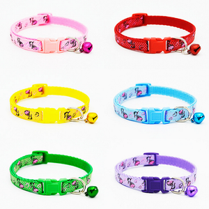 yorkie collars