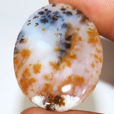 Natural Scenic Dendritic Agate Oval Cabochon Edelstein 44.10 Ct 26x36x5 mm Br235