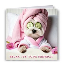 Pampered Westie Birthday Card - West Highland Terrier Dog
