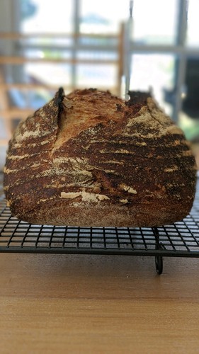 109 y/o French Sourdough Starter & Recipe - Organic Wheat - Picture 7 of 9