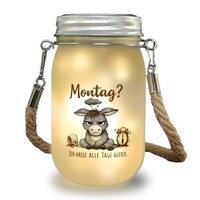 Esel Ich Hasse Alle Tage Solarlicht Mit Spruch Montag