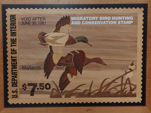 HUDSON RIVER INLAY - STOCKENTENSTEMPEL - HOLZINTARSIEN 24 X 19 - #5 - Bild 1 von 13