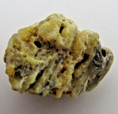 Baltic Amber stone 17 cts - rough - Bild 3 von 6