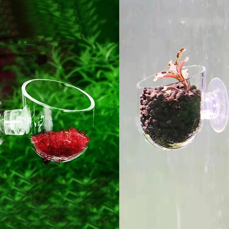 Crystal top aquarium decorations