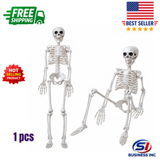 36" Posable Halloween Skeleton Prop Life Size Human Yard Decor with Spider Web
