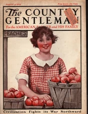1923 Country Gentleman  August 4 - Peach harvest -  Original  Cover Only