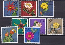 SA16d Poland 1981 Flowers from Cactus mint stamps