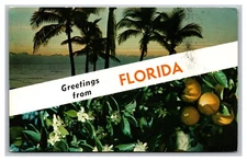 Greetings from Florida Multi View Banner Chrome Postcard Posted 1973