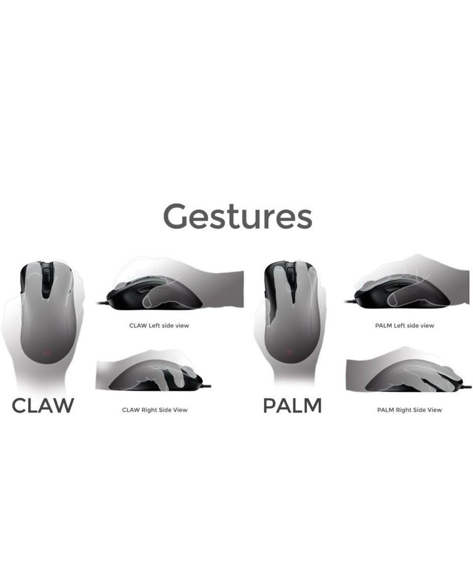 BenQ Zowie CS Go Edition Ec2-b Ergonomic Gaming Mouse for eSPORTS
