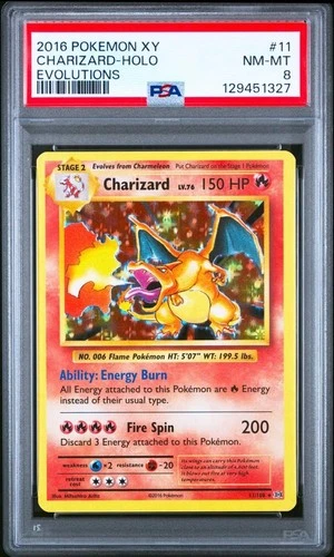 PSA 8 Charizard Holo Rare 11/108 XY Evolutions Pokémon Card 2016 TCG Pikachu