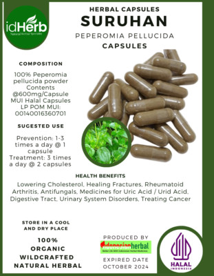 [idHerb] CAPSULES SURUHAN - PEPEROMIA PELLUCIDA NATURAL ORGANIC HERBAL FRESH