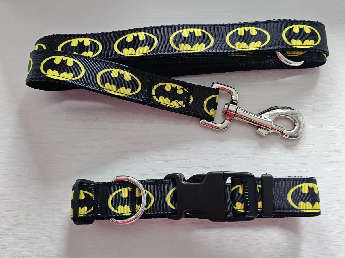 Matching dog clearance collar and keychain