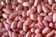 100% Natural Peanut Groundnut Fresh Whole Raw...