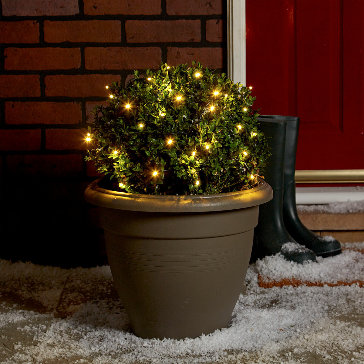 Battery Powered Outdoor Christmas Lights With Timer Shelly Lighting