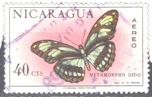 Insects Used Nicaraguan Stamps