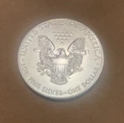 1oz american silver eagle coin 2020