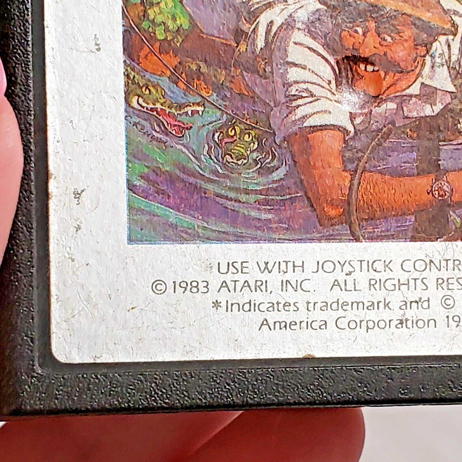 Picture 6 of 13