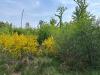 Bild 3 von 10