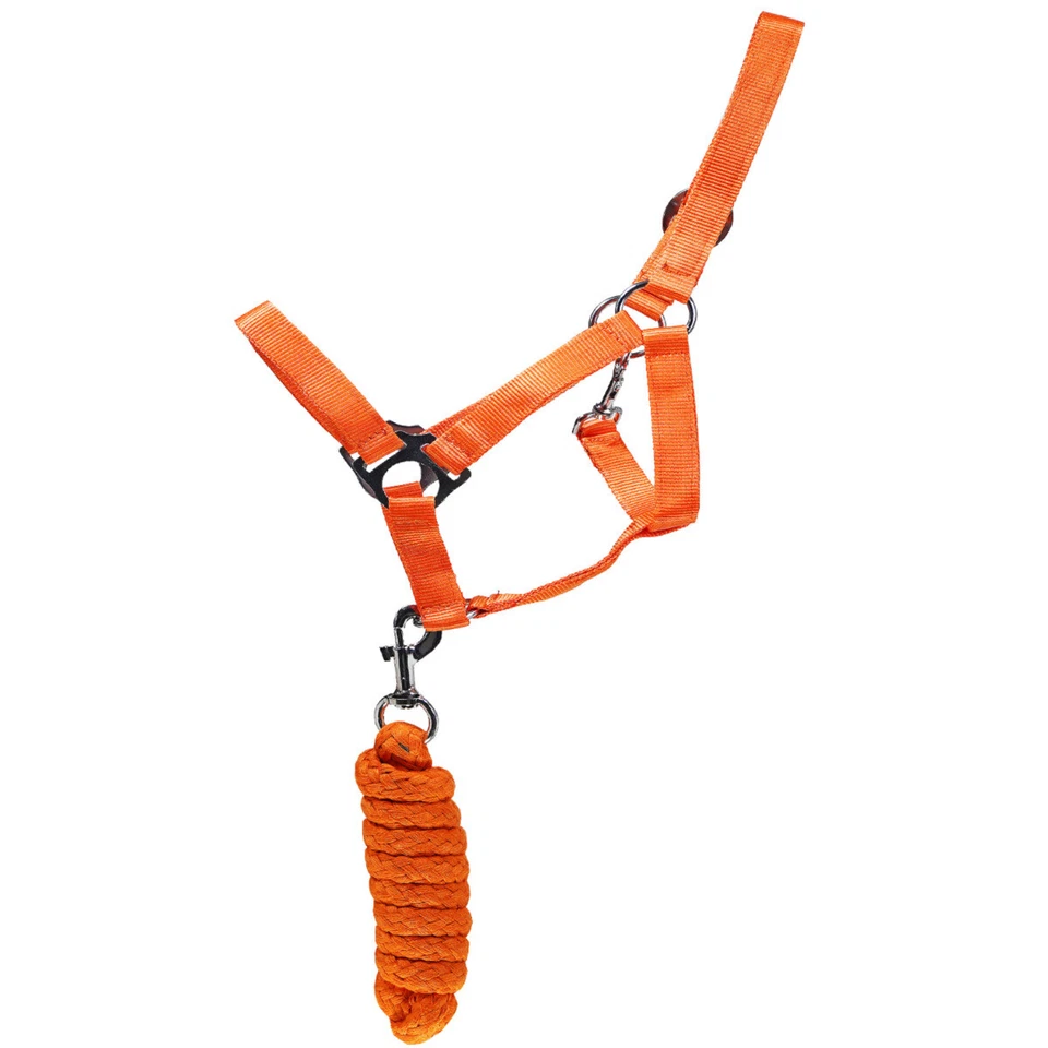 L-Sport Set Nylon Halfter und weicher Strick mit Karabinerhaken - Bild 4 von 4