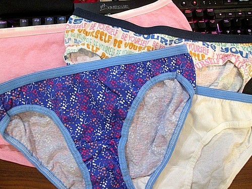 New Hanes,Fruit Loom Etc ❤️ Size 12 ❤️ Girls' Bikini Briefs 4 Pk Choice of Group - Picture 109 of 219