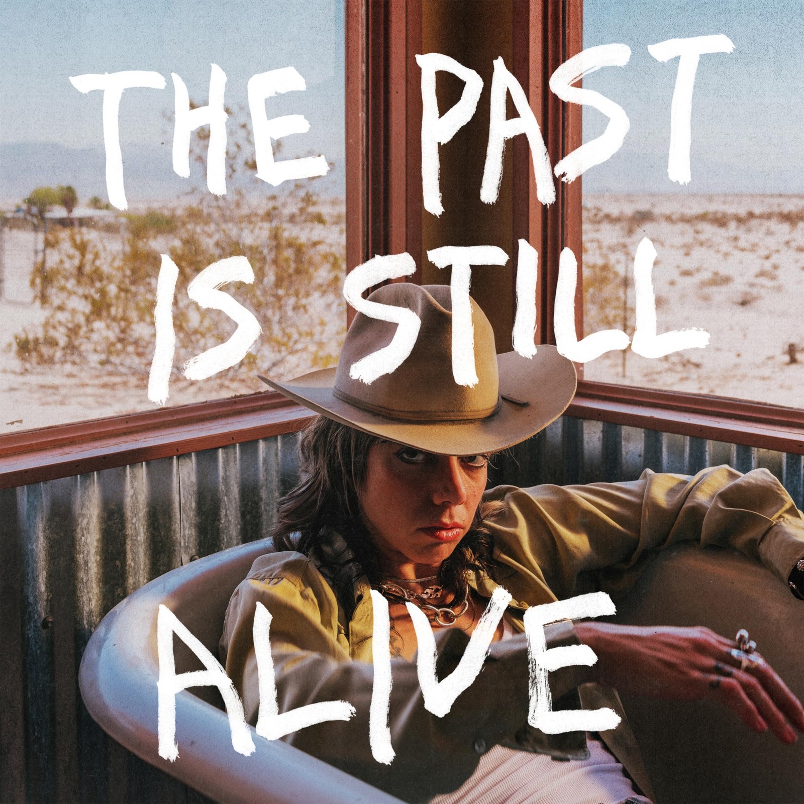 Hurray For the Riff Raff Past Is Still Alive CD NEW