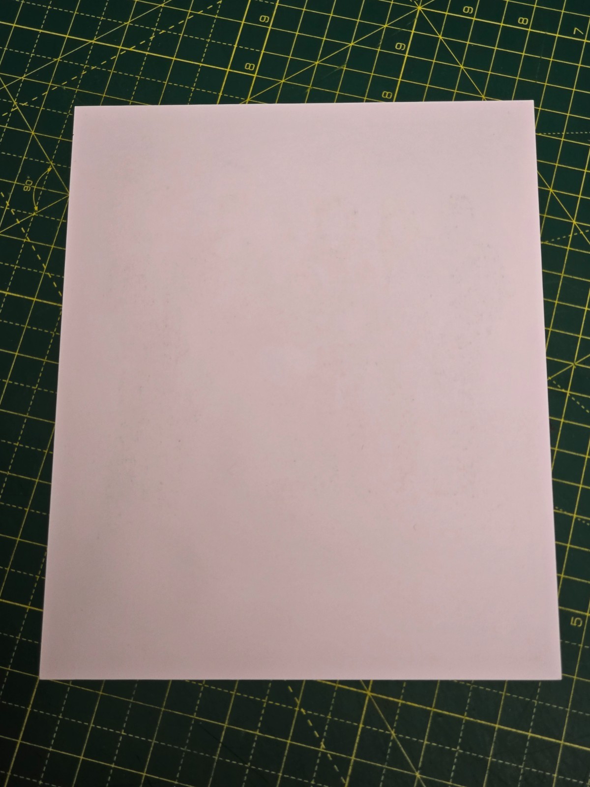 Blondie Pollinator Official Web Site only Fully Signed Print Debbie Clem Burke