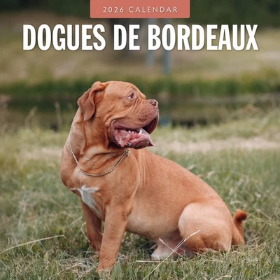 RED ROBIN PUBLISHING Dogues de Bordeaux 2026 Square Wall Calendar