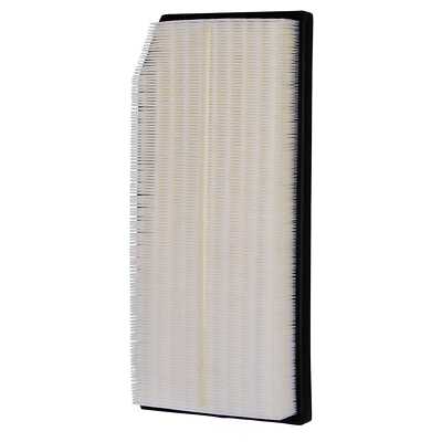 Air Filter  Premium Guard  PA99568