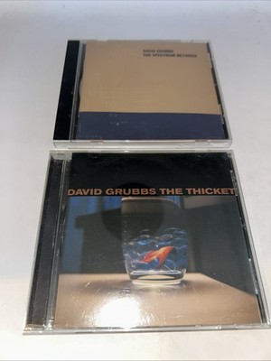DAVID GRUBBS   The Thicket | The Spectrum Between
