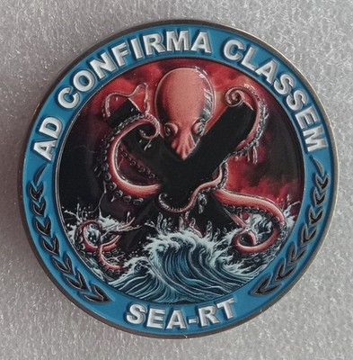 NAVSEA RED TEAM CHALLENGE COIN cyber warfare US NAVY yard hacker SEA RT security