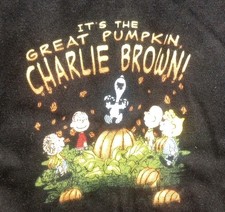 Peanuts Snoopy Friends, Its The Great Pumpkin Charlie Brown PJ Pants, XL New