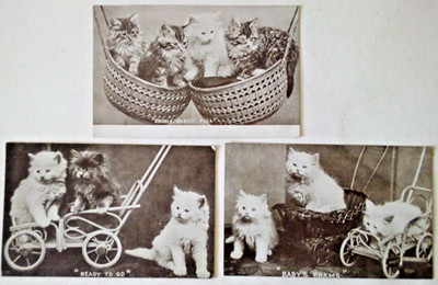 3 VTG CAT POST CARDS BABY PRAM READY TO GO DOUBLE BASKET FULL 4x