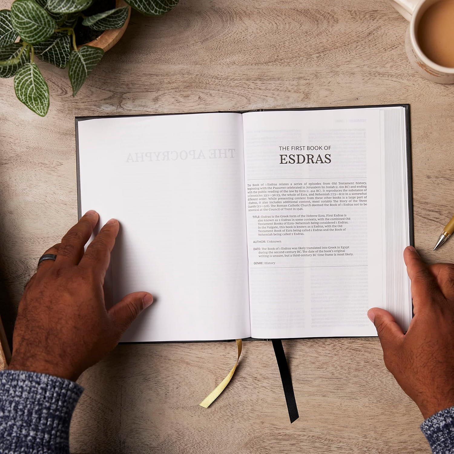 KJV Holy Bible with Apocrypha and 73,000 Center-Column Cross References, Black L