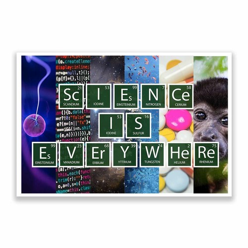 CLASSROOM POSTER SCIENCE MATH ENGLISH TEACHERS ELEMENTARY SCHOOL HIGH SCHOOLS - Picture 20 of 29