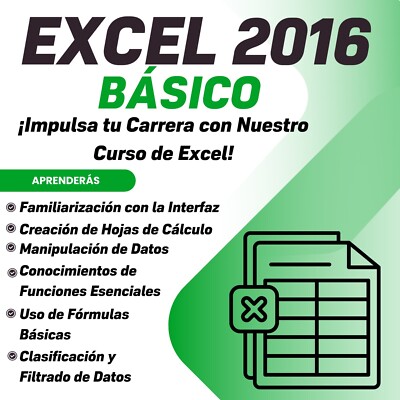 CURSO DE EXCEL 2016 NIVEL BASICO, 100% Online