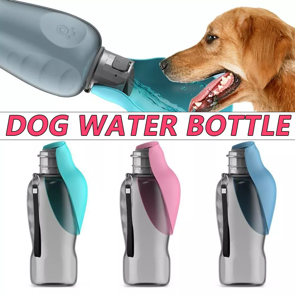 Portable dog water sales bottle and bowl