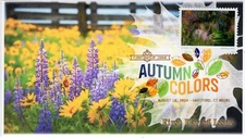 24-244, 2024, Autumn Colors, First Day Cover, Digital Color Postmark, Americover