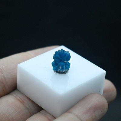 Mineral specimen of bow tie Cavansite  (non precious natural stone) # 4522