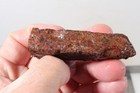 Morocco Kerrouchen Seam Agate 10.5 oz lapidary faced rough Lot C1 — photo 5