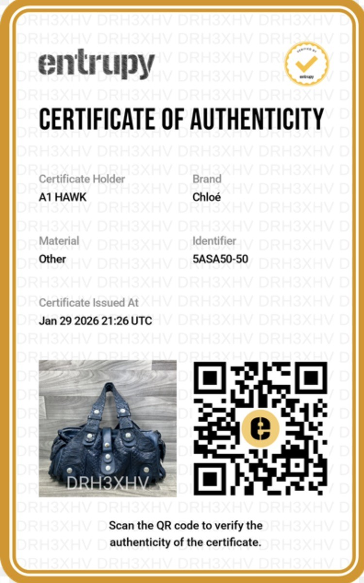 Chloé Python Leather Paddington Satchel Blue Silv… - image 3