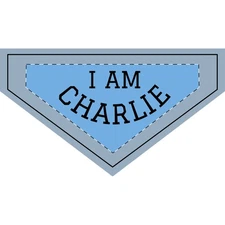 Clip-on Pet Bandana for Dogs, Accessory, collar, scarf, support, novelty gift