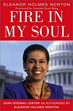 Fire in My Soul Hardcover Joan Steinau Lester