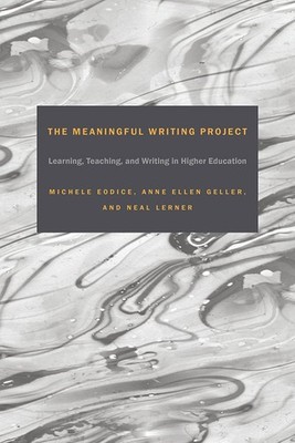Meaningful Writing Project: Learning, Teaching and Writing in Higher Educati...